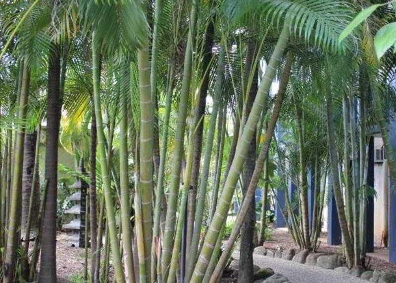 Bohemia Resort Cairns Exterior foto
